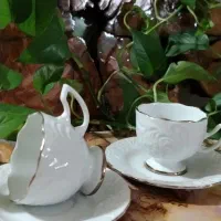 ظروف پذیرایی