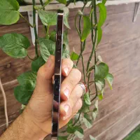 12por max|موبایل|اهواز, کمپلو جنوبی|دیوار