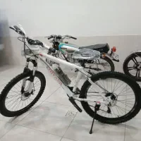 دوچرخه اکو چیاوا|دوچرخه، اسکیت، اسکوتر|بجنورد, |دیوار