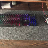 موس و کیبرد