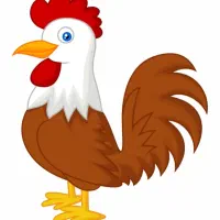 حراج. حراج مرغ کشته کشتارروز فقط و فقط ۲۵۰تومن