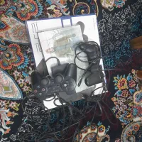 اجاره سونی ۲