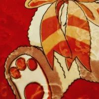 پتو دو رو درحد نو|رختخواب، بالش، پتو|مشهد, جاهد شهر|دیوار