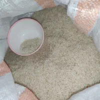 برنج  طارم هاشمی درجه یک