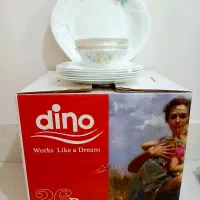 ظروف پذیرایی