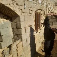 نر بز مورسیا ۱سالو نیمه .چپش .نری.