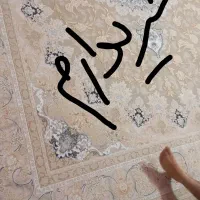 فرش۱۲متری|فرش|مشهد, کاظم آباد پنجشنبه|دیوار