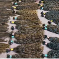 فروش مو(خریدار موهای شما)