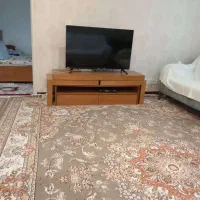 ۳ تخته فرش سالم|فرش|شهریار, شهرک وائین|دیوار