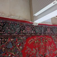 فرش دست باف وماشینی|فرش|ارومیه, |دیوار
