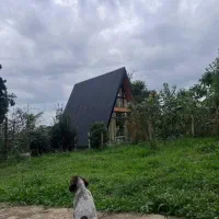 یک کارگر ساده برای کار سیمانکاری اسانسور