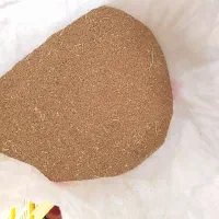 بذر یونجه