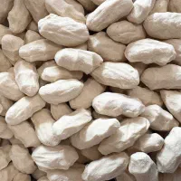 کشک گوسفندی درجه یک|خوردنی و آشامیدنی|تهران, جوادیه|دیوار