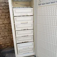 یک عدد یخچال و یک عدد فریزر|یخچال و فریزر|مرودشت, ژیان|دیوار