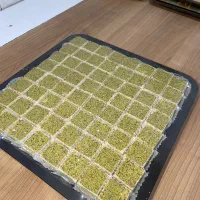 انواع حلوای مجلسی ترحیم