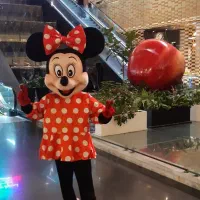 تن پوش عروسکی|خدمات پذیرایی، مراسم|تهران, ونک|دیوار