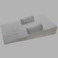 تشک ضد ریفلاس