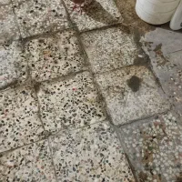 کفتر