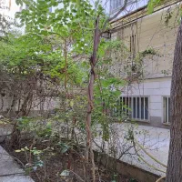 اجاره آپارتمان حیاط دار پاتریس