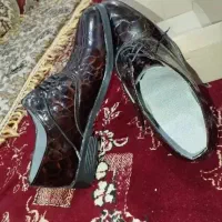 کفش مدل ورنی جوان پسند|کیف، کفش، کمربند|سراوان, |دیوار