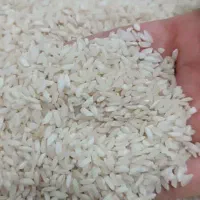 برنج چمپای میداوود ـ سرله ـ دوگچه وو|خوردنی و آشامیدنی|اهواز, کوی مهدیس|دیوار