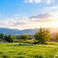 فروش-زیرقیمت-نیم-دانگ-زمین-درخیابان-ملت