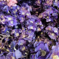 درختچه گل شکوفه مصنوعی|گل مصنوعی|مشهد, صیاد شیرازی|دیوار