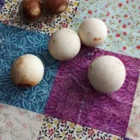 سنگ الماس اسیب