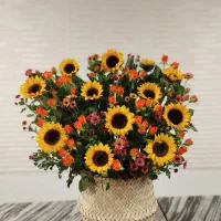 گل ارایی،ویزیت گیاه