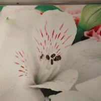 رانر|پرده، رانر، رومیزی|اصفهان, شهرک امام خمینی|دیوار