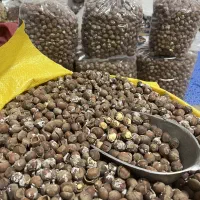 فندوق تازه نمکی و برشته