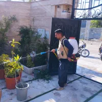 سمپاشی وباغبانی