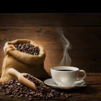 قهوه روبوستا با کیفیت مستقیم ازکارخانه