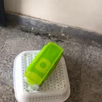 نایسر دایسر