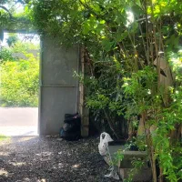 فروش-خانه-ویلایی-97-متری-1-خوابه-در-حاجی-آباد