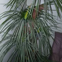 گل مصنوعی