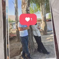 چاپ فرش|تابلو فرش|اردبیل, |دیوار