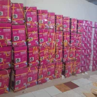 کولرگازی دیواری اسپیلیت ایستاده گازی دوتیکه ایولی