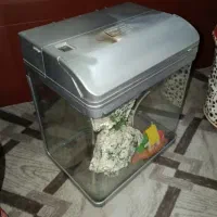 آکواریوم