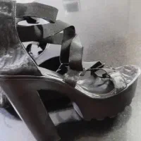 کفش مجلسی