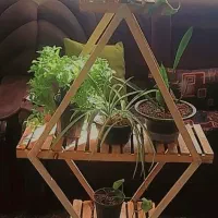استند گلدون