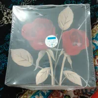 میوه خوردی|ظروف سرو و پذیرایی|مشکیندشت, |دیوار