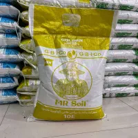 خاک مخصوص گلهای آپارتمانی و زینتی ،ویژه هر گیاه|گل و گیاه طبیعی|جوین, |دیوار