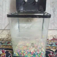 آکواریوم