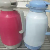 فلاکس سالم