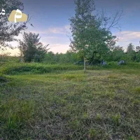 1650مترزمین داخل بافت بامجوز گلخانه اطراف کوچصفهان