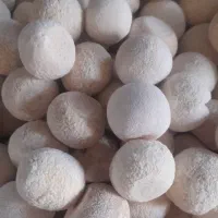 فروش کشک گوسفندی