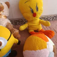 عروسک|اسباب‌بازی بچه|کرمانشاه, |دیوار