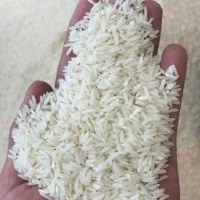 برنج طارم