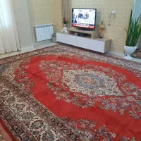 فرش دستباف ۱۹ متری